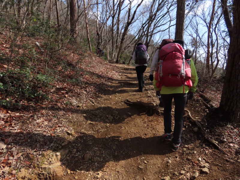 日和田山、物見山